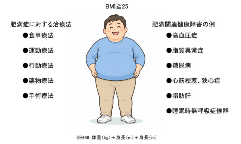 肥満症について