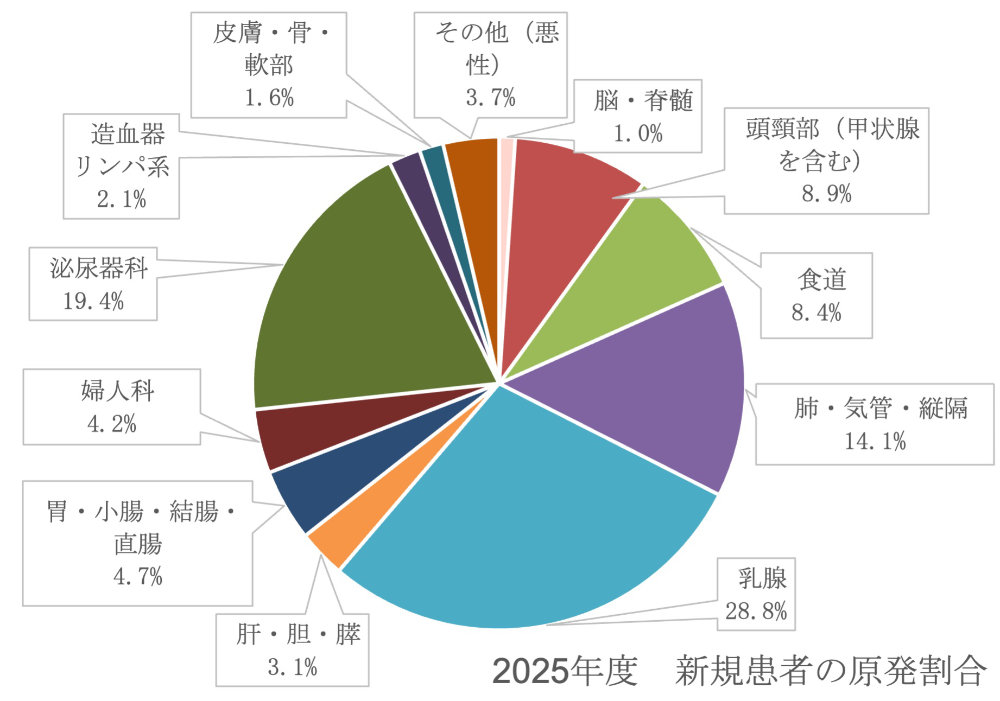 2025年度 新規患者の原発割合