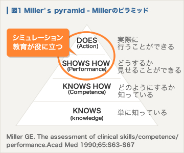 （図1） Miller'ｓ pyramid - Millerのピラミッド